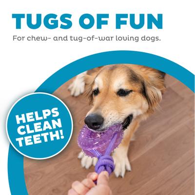 Show full view: Outward Hound 2-in-1 Dental Wheel Dog Chew & Tug Toy, Purple slide 2 of 9