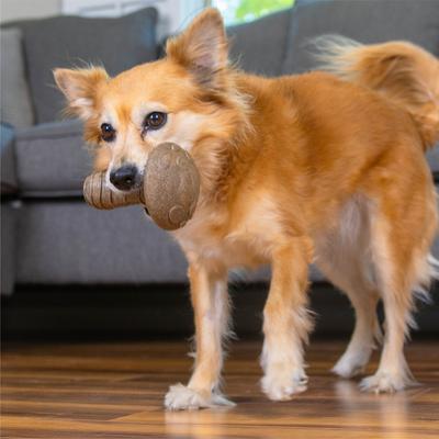 Show full view: Outward Hound Dogwood Mushroom Peanut Butter Scented Tough Dog Chew Toy, Medium slide 7 of 10
