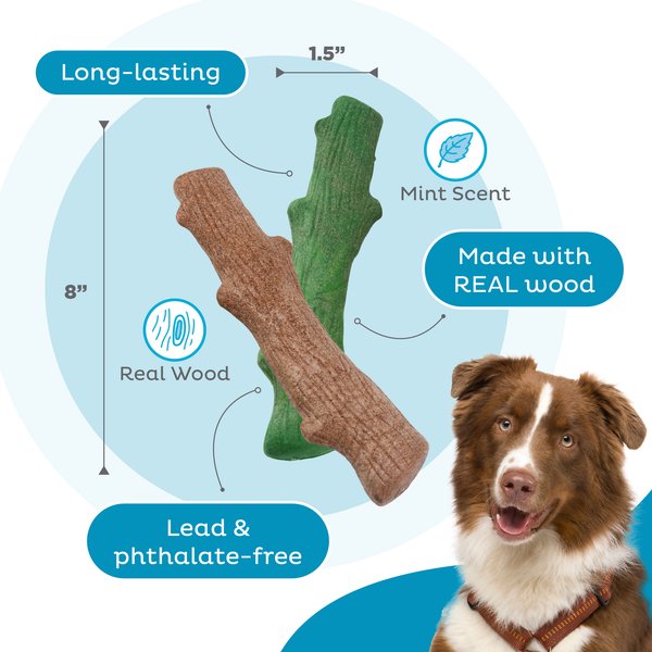 Petstages Dogwood Mint Bone Tough Dog Chew Toy, Large, 2 count