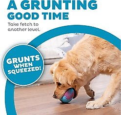 Outward Hound Grunt N Punt Football Dog Toy, Blue & Pink slide 2 of 7