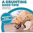 Show in main carousel: Petstages Grunt N Punt Football Dog Toy, Blue & Pink slide 2 of 10