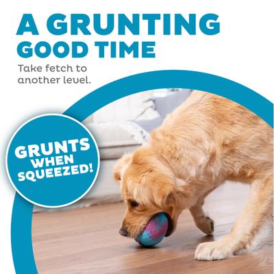 Show full view: Outward Hound Grunt N Punt Football Dog Toy, Blue & Pink slide 2 of 10