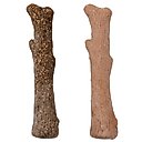 Petstages Dogwood Calming Bone Tough Dog Chew Toy, 2 count, Medium