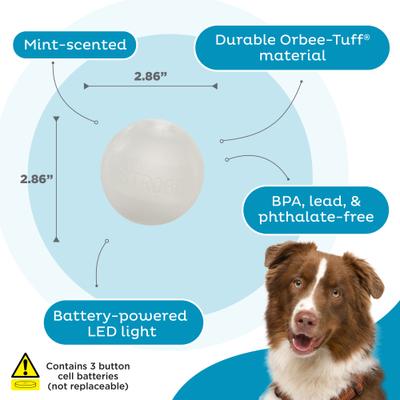 Show full view: Outward Hound Orbee-Tuff LED Strobe Ball Tough Dog Chew Toy, White slide 3 of 11