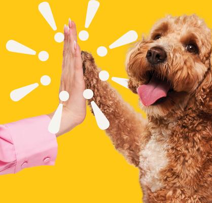 Show full view: Heckova! Beef Lover Beef Liver Raw Freeze-Dried Dog Treats, 4-oz bag slide 8 of 10