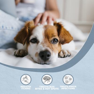 Show full view: Farm Dog Naturals Restore Dog Skin Care Treatment, 2-oz jar slide 5 of 8