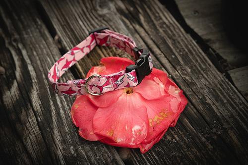 Show full view: Country Brook Petz Deluxe Pink Sharks Dog Collar, Pink, X-Large: 18 to 26-in neck, 1-in wide slide 3 of 8