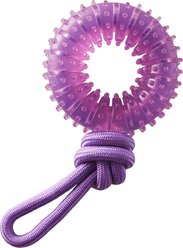 Outward Hound 2-in-1 Dental Wheel Dog Chew & Tug Toy, Purple