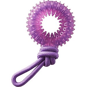 Outward Hound 2-in-1 Dental Wheel Dog Chew & Tug Toy, Purple