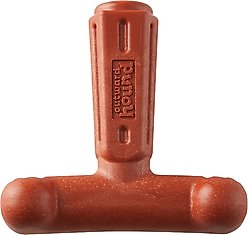 Outward Hound Dogwood Hold & Chew Beef Scented Tough Dog Chew Toy, Large