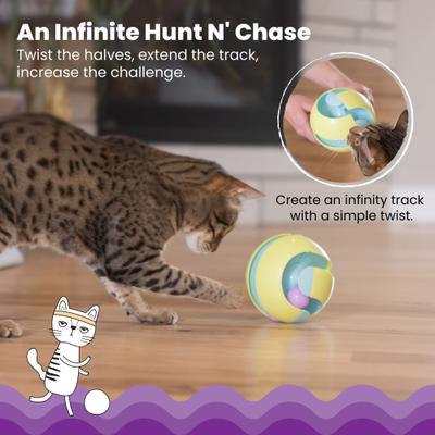 Show full view: Catstages Twist-A-Ball Convertible Cat Toy slide 6 of 9