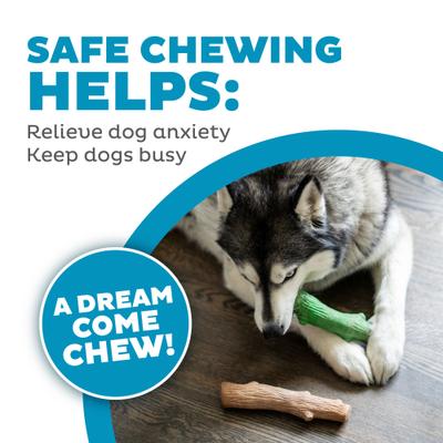 Show full view: Petstages Dogwood Mint Bone Tough Dog Chew Toy, Large, 2 count slide 5 of 12