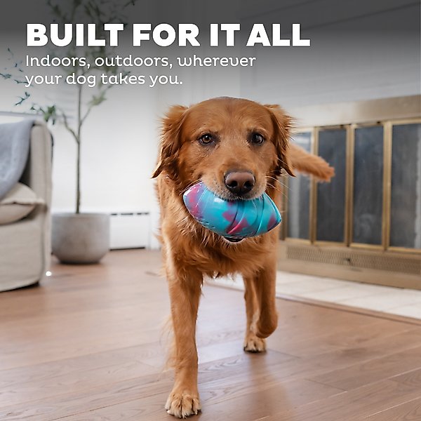 Show full view: Petstages Grunt N Punt Football Dog Toy, Blue & Pink slide 5 of 10