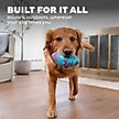 Show in main carousel: Petstages Grunt N Punt Football Dog Toy, Blue & Pink slide 5 of 10