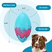 Show in main carousel: Petstages Grunt N Punt Football Dog Toy, Blue & Pink slide 3 of 10