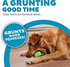 Outward Hound Grunt N Punt Squeaky Tennis Ball Dog Toy, Yellow & Green slide 2 of 7