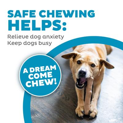 Show full view: Petstages Dogwood Calming Bone Tough Dog Chew Toy, 2 count, Medium slide 5 of 12