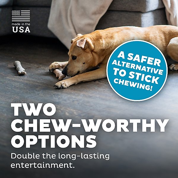 Show full view: Petstages Dogwood Calming Bone Tough Dog Chew Toy, Medium, 2 count slide 4 of 12