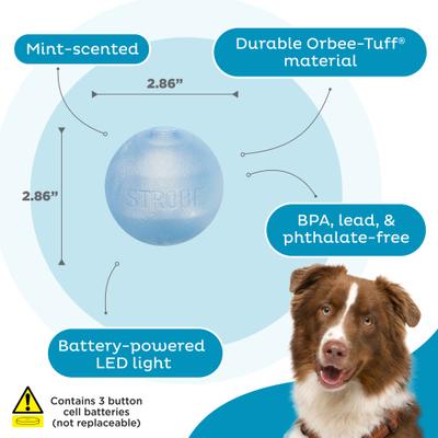 Show full view: Outward Hound Orbee-Tuff LED Strobe Ball Tough Dog Chew Toy, Blue slide 3 of 12