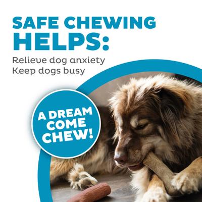 Show full view: Petstages Dogwood BBQ & Natural Flavor Bone Tough Dog Chew Toy, Medium, 2 count slide 5 of 12