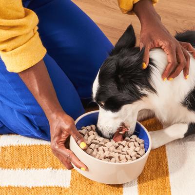 Show full view: Heckova! Chonky Chicken Complete Meal Raw Freeze-Dried Dog Food, 20-oz bag slide 7 of 11