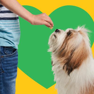 Show full view: Heckova! Beef Lover Beef Liver Raw Freeze-Dried Dog Treats, 4-oz bag slide 6 of 10