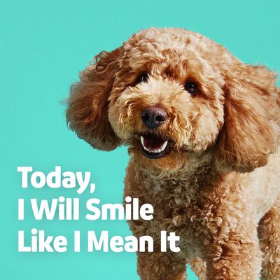 Show full view: Vibeful Large Daily Dental Chews for Dogs, Cinnamon Flavor, 7 count slide 8 of 10