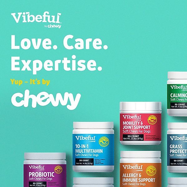 Show full view: Vibeful Large Daily Dental Chews for Dogs, Cinnamon Flavor, 7 count slide 8 of 9