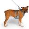Show in main carousel: Canada Pooch Cooling 2.0 Dog Harness, Grey, XX-Large: 28 to 41-in chest slide 3 of 5