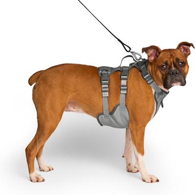 Show full view: Canada Pooch Cooling 2.0 Dog Harness, Grey, XX-Large: 28 to 41-in chest slide 3 of 5