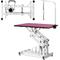 Show in main carousel: Cesicia Z-Lift Adjustable Height Dog Grooming Table, Pink, 21 to 36-in slide 1 of 8