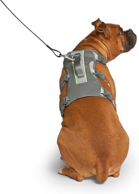 Show full view: Canada Pooch Cooling 2.0 Dog Harness, Grey, XX-Large: 28 to 41-in chest slide 2 of 5