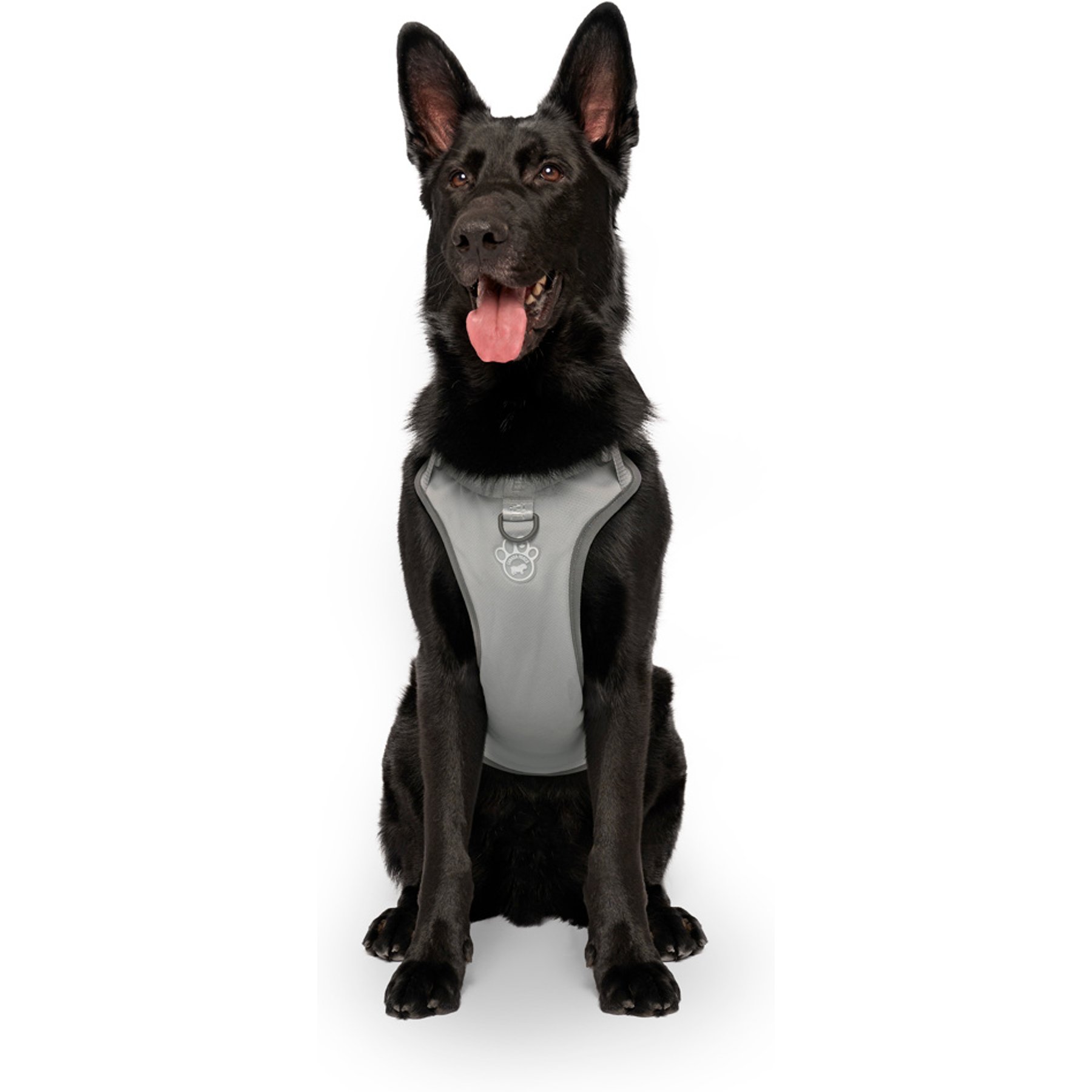 Canada Pooch Cooling 2.0 Dog Harness, Grey, Small: 15 to 19-in chest