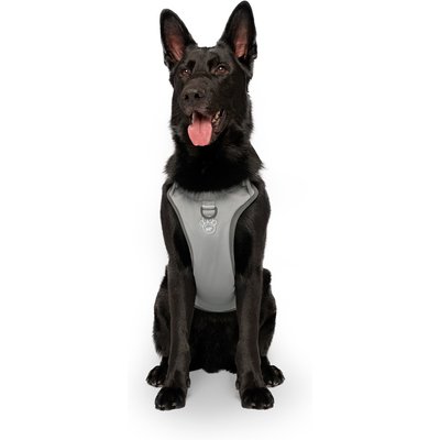Canada Pooch Canada Pooch Cooling 2.0 Dog Harness, Grey, Large: 22 to 30-in chest