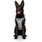 Show in main carousel: Canada Pooch Cooling 2.0 Dog Harness, Grey, XX-Large: 28 to 41-in chest slide 1 of 5