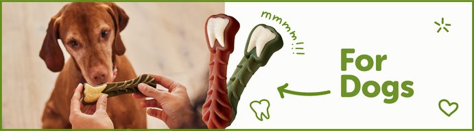 Shop Dog Dental Treats