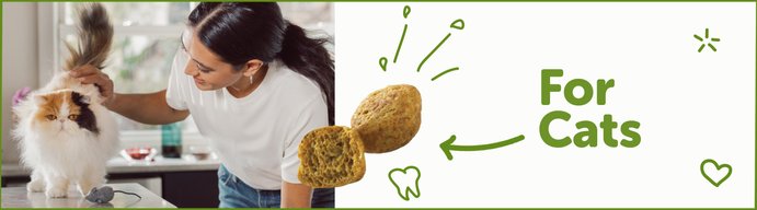 Shop Cat Dental Treats