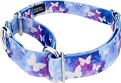 Country Brook Petz Watercolor Butterflies Martingale Dog Collar, Blue, Large: 18 to 26-in neck, 1-in wide slide 2 of 7