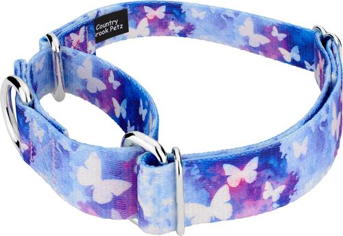 Show full view: Country Brook Petz Watercolor Butterflies Martingale Dog Collar, Blue, Large: 18 to 26-in neck, 1-in wide slide 6 of 8