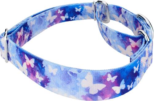 Show full view: Country Brook Petz Watercolor Butterflies Martingale Dog Collar, Blue, Large: 18 to 26-in neck, 1-in wide slide 7 of 8