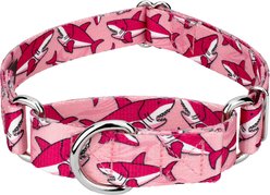 Country Brook Petz Pink Sharks Martingale Dog Collar, Pink, X-Small: 9 to 12-in neck, 1/2-in wide