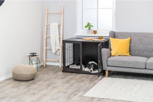 Show full view: TRIXIE Wood & Wire Furniture Side Table Pet Crate, Large, Espresso Brown slide 5 of 9