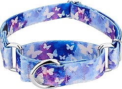 Country Brook Petz Watercolor Butterflies Martingale Dog Collar, Blue, Small: 11 to 15-in neck, 5/8-in wide