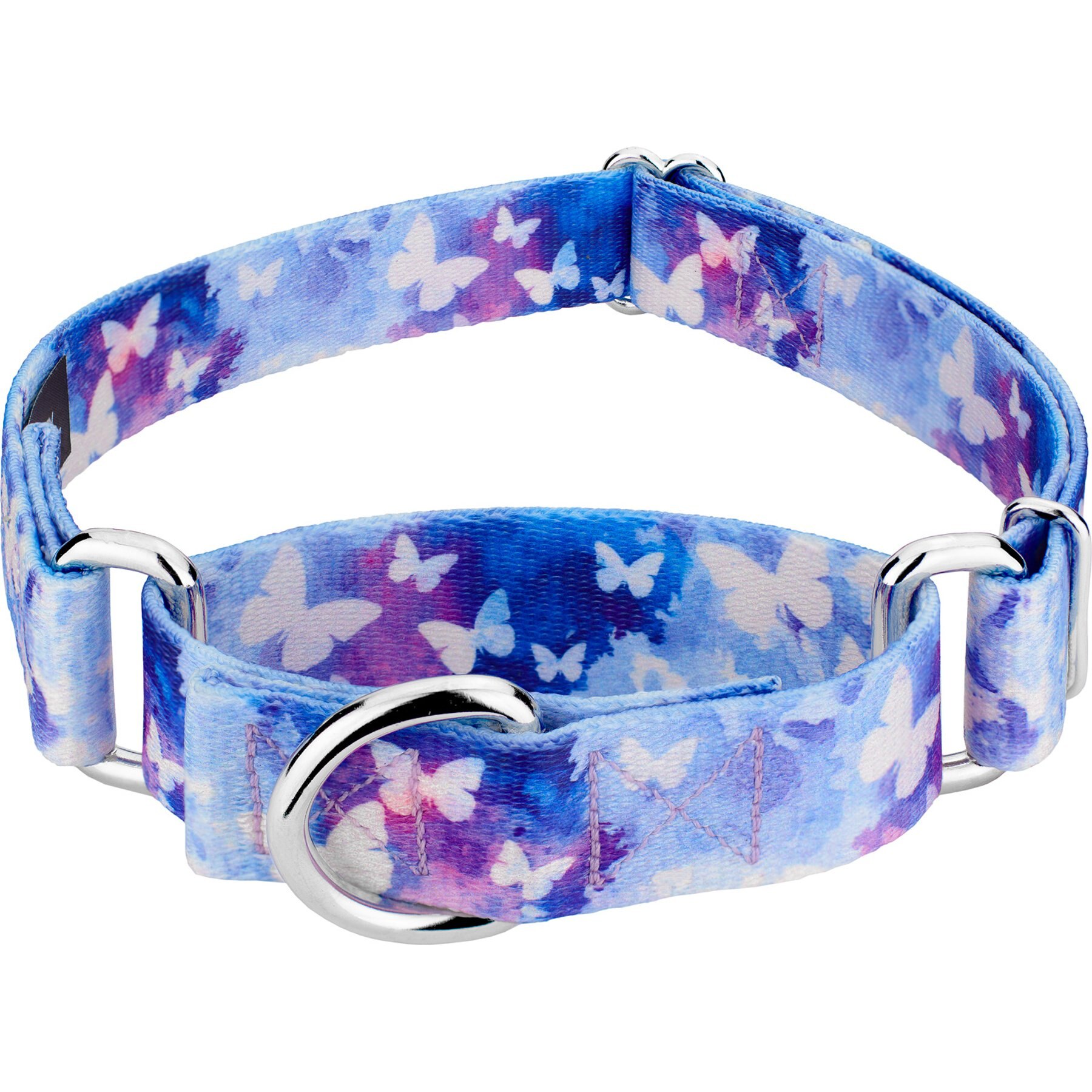 Country Brook Petz Watercolor Butterflies Martingale Dog Collar, Blue, X-Large: 23 to 31-in neck, 1-in wide