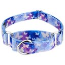 Country Brook Petz Watercolor Butterflies Martingale Dog Collar, Blue, Medium: 15 to 21-in neck, 1-in wide