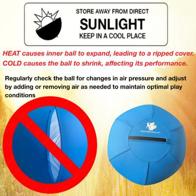 Show full view: Herding Buddy Ball Dog Toy, Blue, 25-in slide 7 of 13