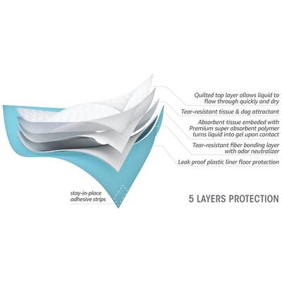 Show full view: Spotty Indoor Dog Potty System Replacement Puppy Pee Pads, 10 count slide 3 of 3