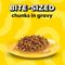 Show in main carousel: Temptations Chicken, Seafood, Backyard Cookout & Catnip Variety Pack Bites in Gravy Adult Wet Cat Food, 3.5-oz tray, case of 36 slide 4 of 11