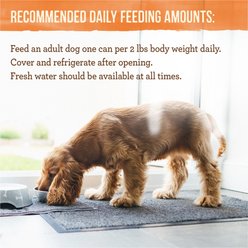 Merrick Lil' Plates Petite Pates Premium Grain-Free Turkey Dinner Wet Dog Food, 3-oz can, case of 3 slide 2 of 9