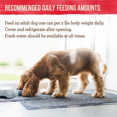 Show full view: Merrick Lil' Plates Petite Pates Premium Grain-Free Beef Dinner Wet Dog Food, 3-oz can, case of 3 slide 10 of 12